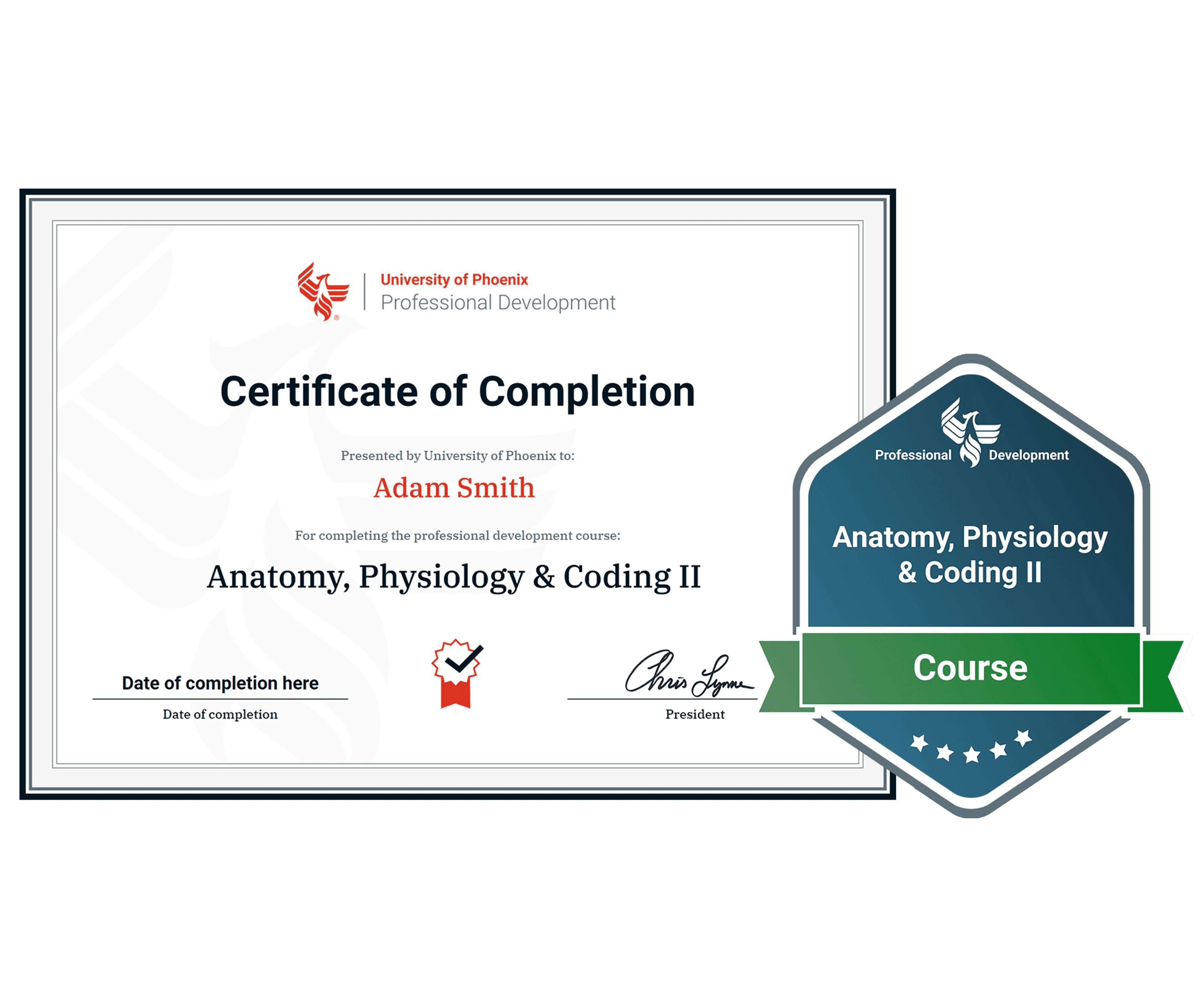 Sample certificate and badge for Anatomy, Physiology and Coding 2 course